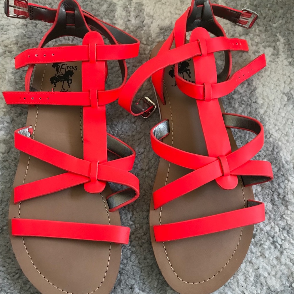 Circus by Sam Edelman Gladiator Sandals Size 8.5